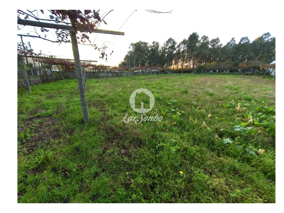 Terreno para Venda em Carvalhal Foto 22