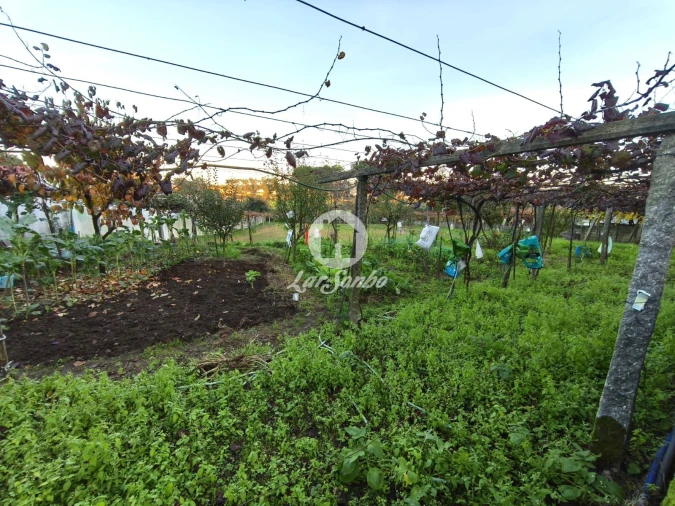 Terreno para Venda em Carvalhal Foto 3