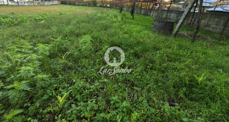 Terreno para Venda em Carvalhal Foto 7