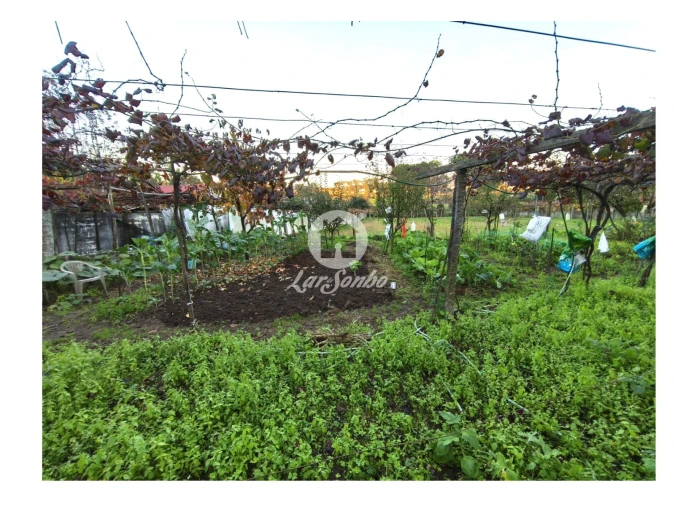 Terreno para Venda em Carvalhal Foto 9