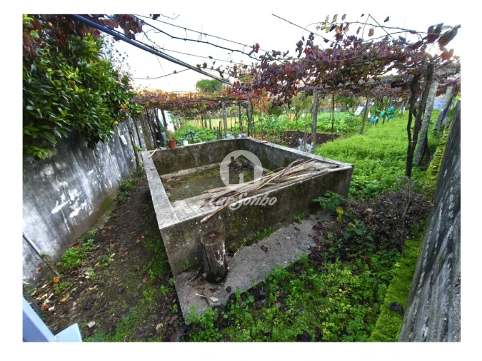 Terreno para Venda em Carvalhal Foto 16