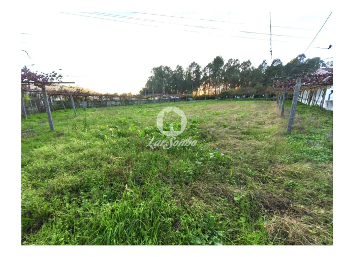 Terreno para Venda em Carvalhal Foto 19