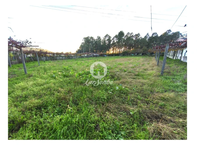 Terreno para Venda em Carvalhal Foto 20