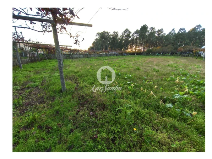 Terreno para Venda em Carvalhal Foto 21