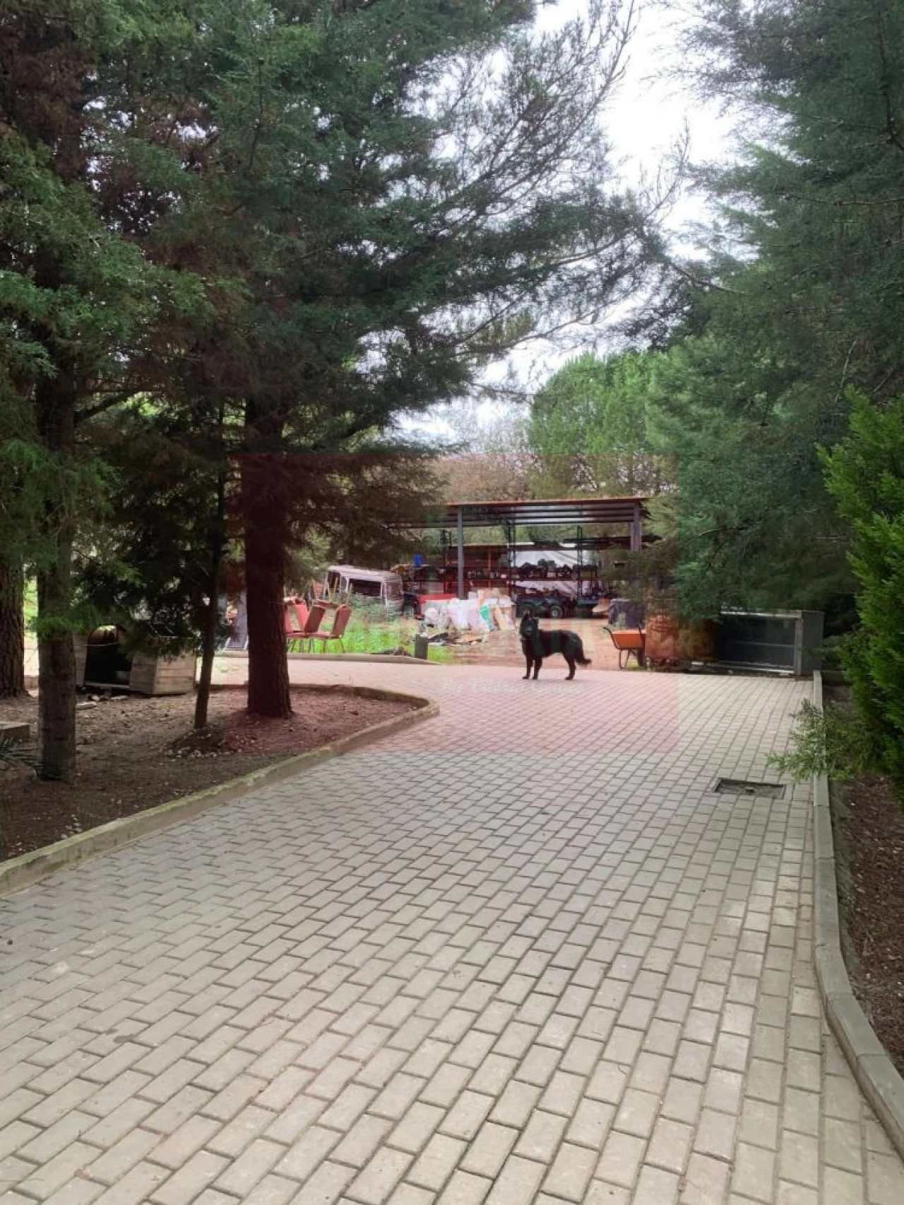 Quinta T0 para Venda em Arranho Foto 13