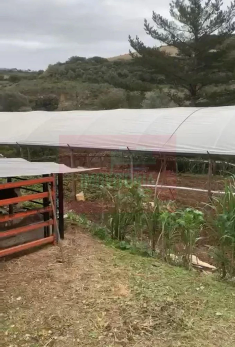 Quinta T0 para Venda em Arranho Foto 21