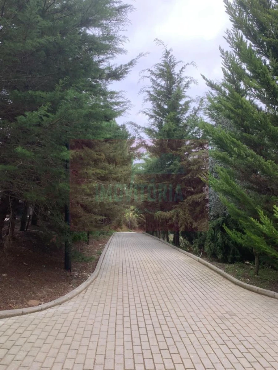 Quinta T0 para Venda em Arranho Foto 1