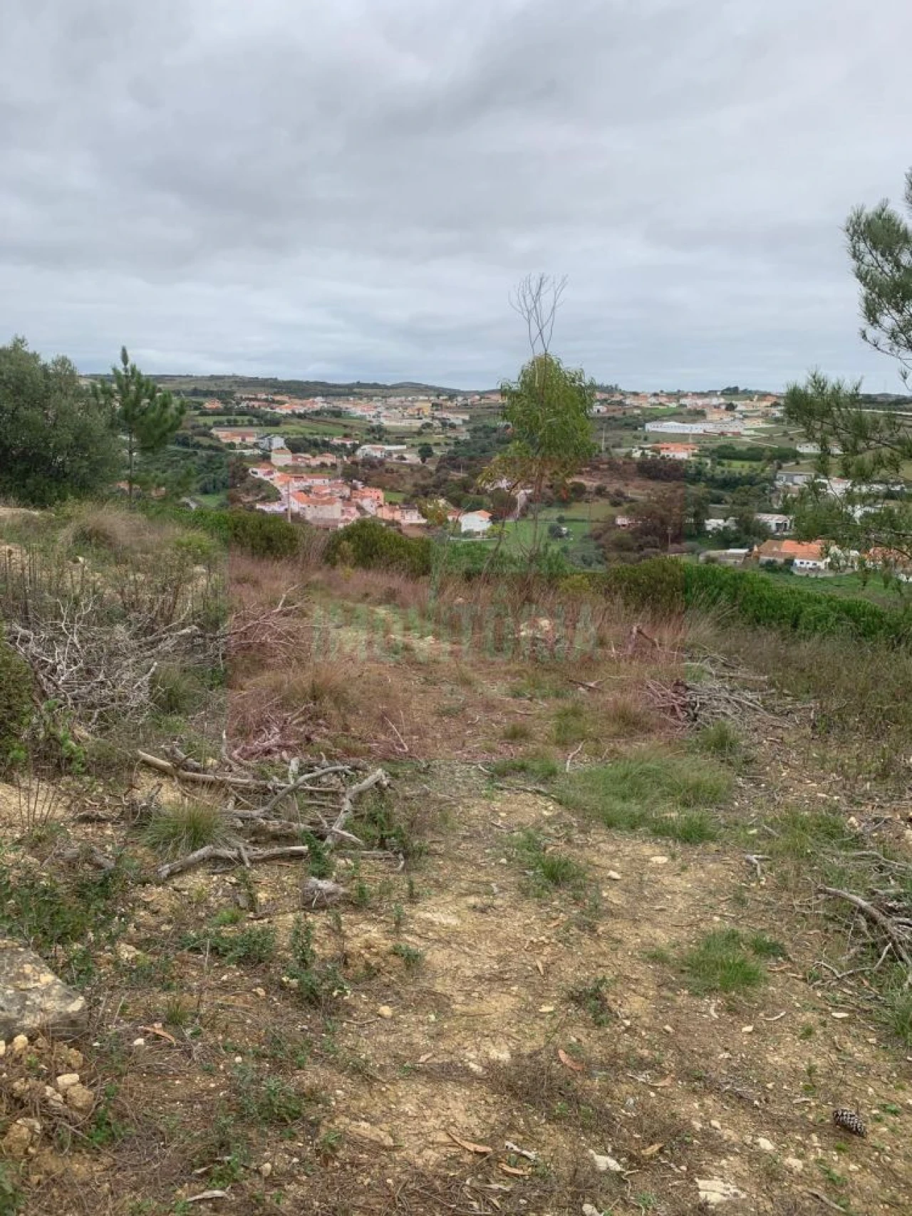 Quinta T0 para Venda em Arranho Foto 32