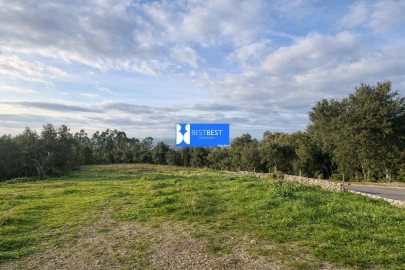 Terreno para Venda em Santo Tirso, Couto (Santa Cristina e São Miguel) e Burgães