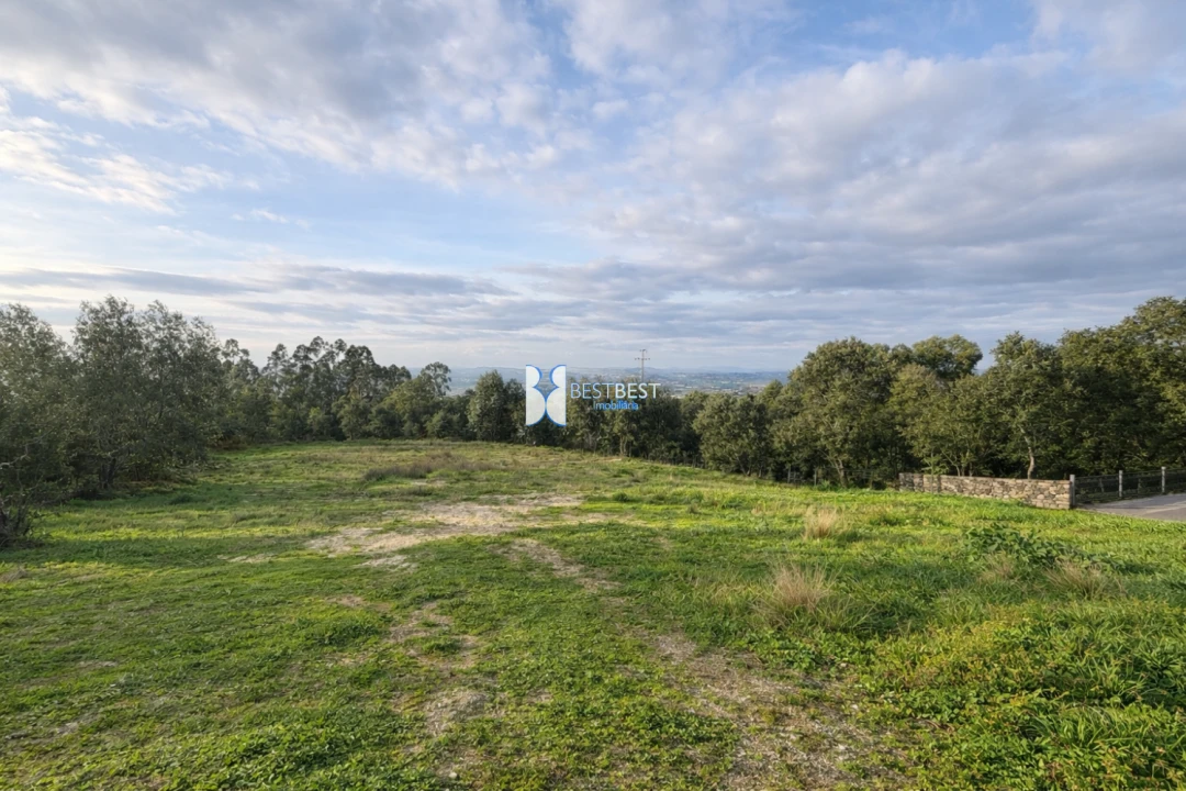 Terreno para Venda em Santo Tirso, Couto (Santa Cristina e São Miguel) e Burgães Foto 8