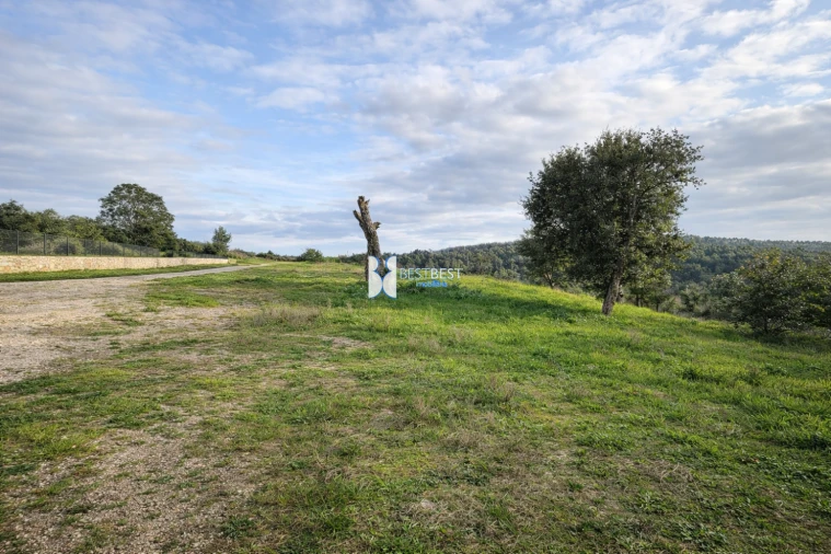 Terreno para Venda em Santo Tirso, Couto (Santa Cristina e São Miguel) e Burgães Foto 9