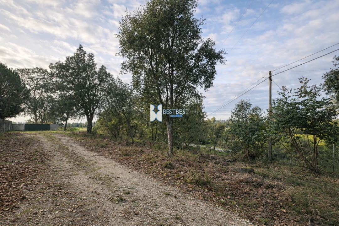 Terreno para Venda em Santo Tirso, Couto (Santa Cristina e São Miguel) e Burgães Foto 1