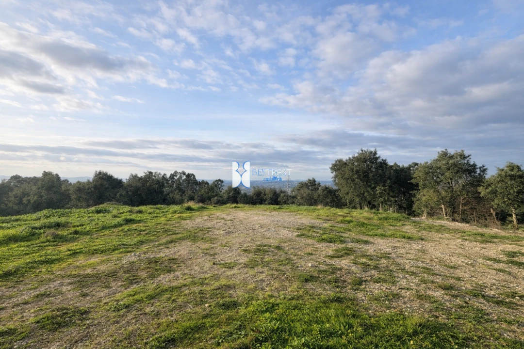 Terreno para Venda em Santo Tirso, Couto (Santa Cristina e São Miguel) e Burgães Foto 4