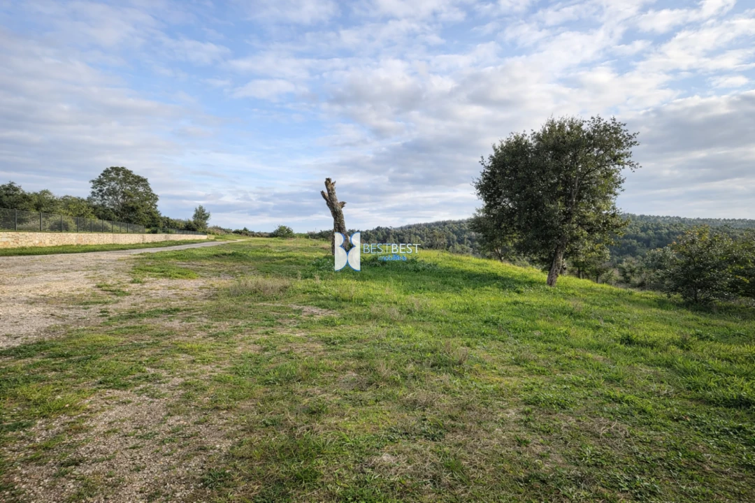 Terreno para Venda em Santo Tirso, Couto (Santa Cristina e São Miguel) e Burgães Foto 9