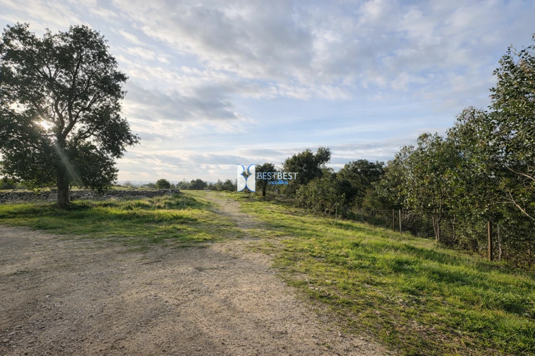 Terreno para Venda em Santo Tirso, Couto (Santa Cristina e São Miguel) e Burgães Foto 11