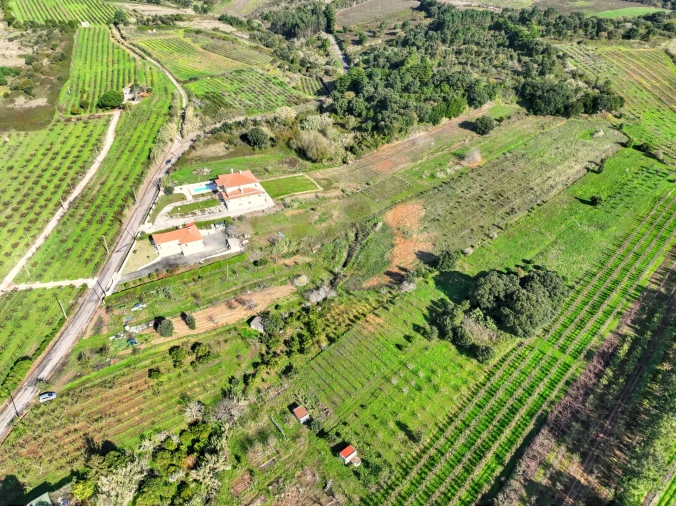 Terreno para Venda em Roliça Foto 3