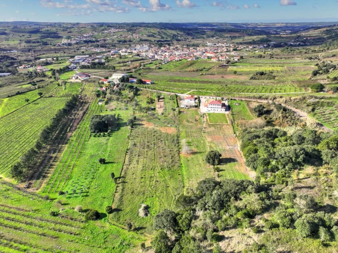 Terreno para Venda em Roliça Foto 5
