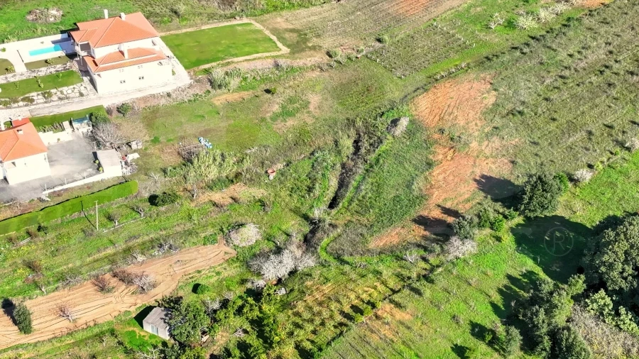 Terreno para Venda em Roliça