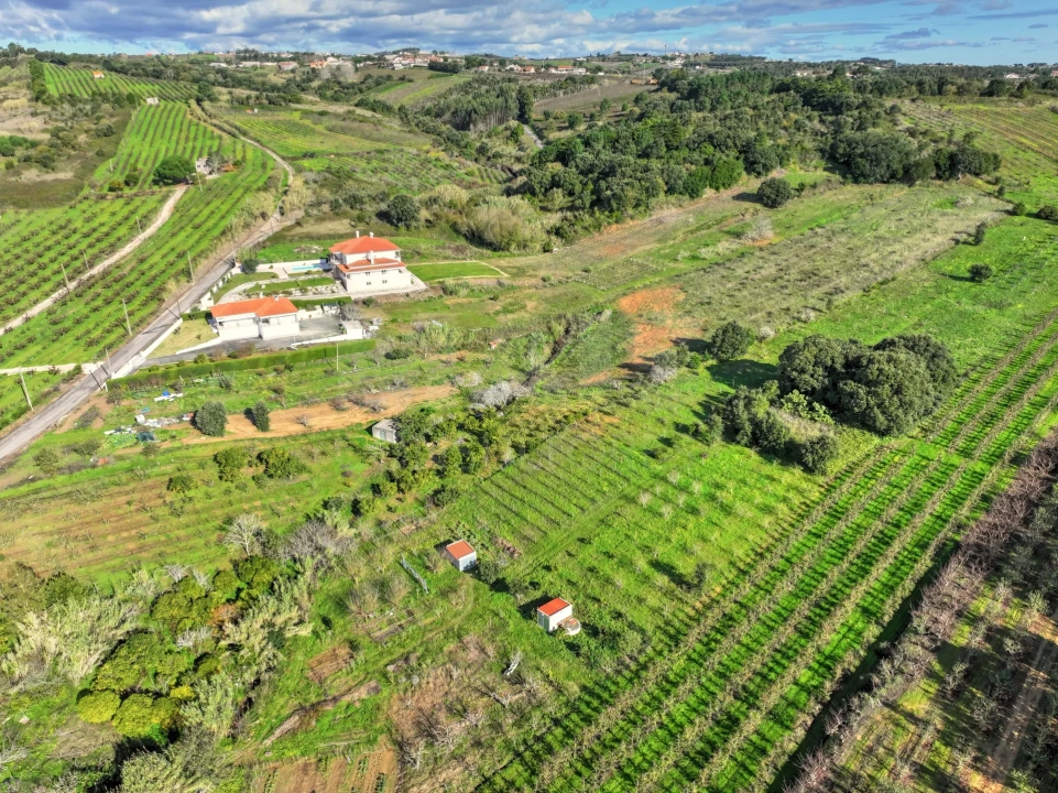 Terreno para Venda em Roliça Foto 2
