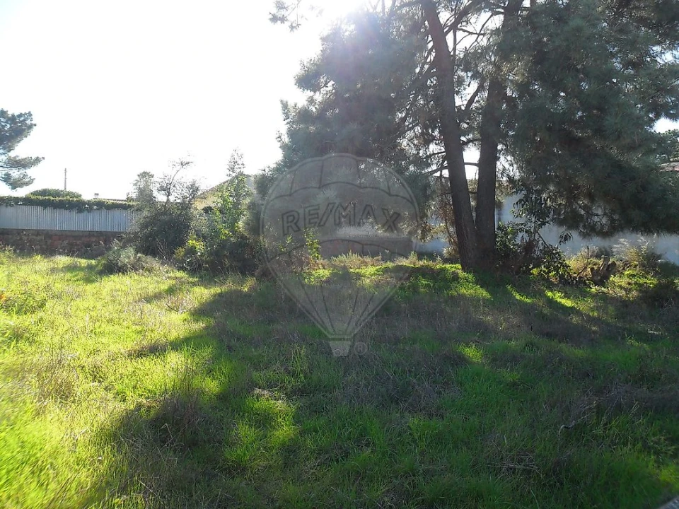 Terreno para Venda em Azeitão (São Lourenço e São Simão) Foto 3
