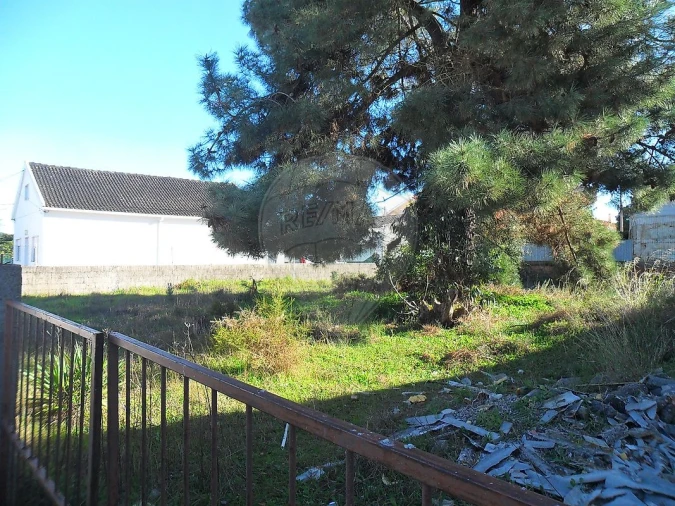 Terreno para Venda em Azeitão (São Lourenço e São Simão) Foto 4