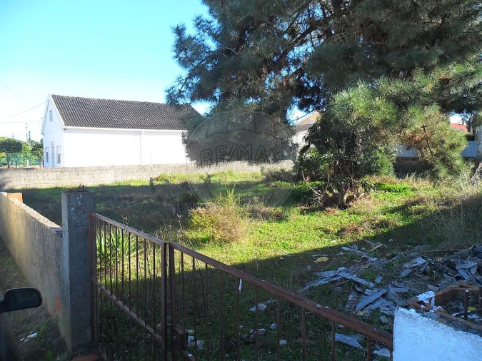Terreno para Venda em Azeitão (São Lourenço e São Simão) Foto 6