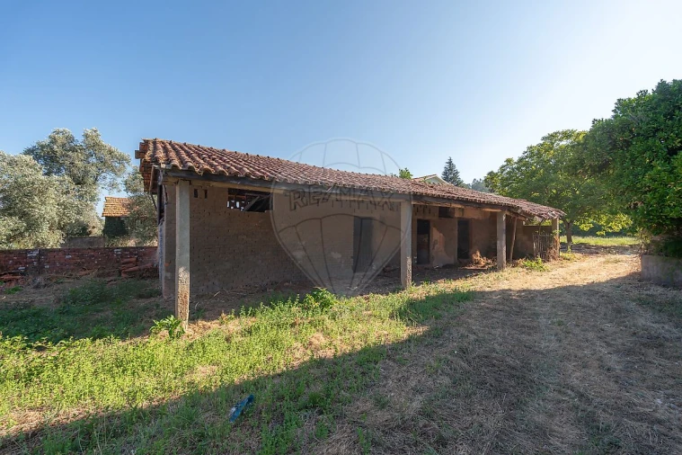 Moradia T4 para Venda em Pala Foto 23