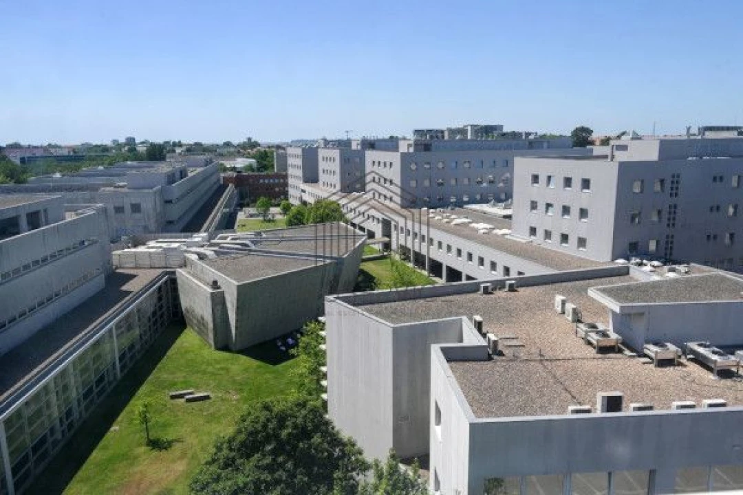 Apartamento T2 para Venda em Paranhos Foto 12