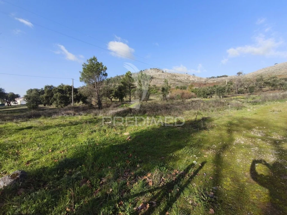 Terreno para Venda em Fortios Foto 4