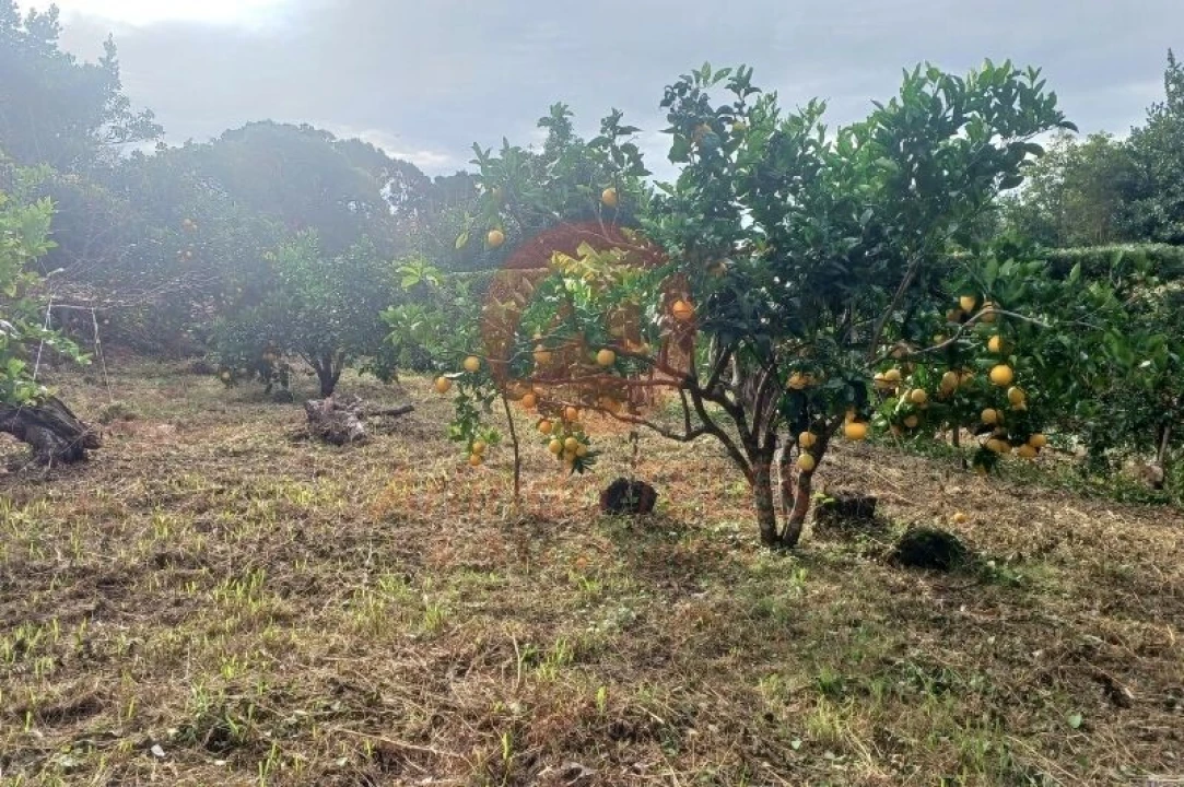 Moradia T3 para Venda em Santo Amaro Foto 35