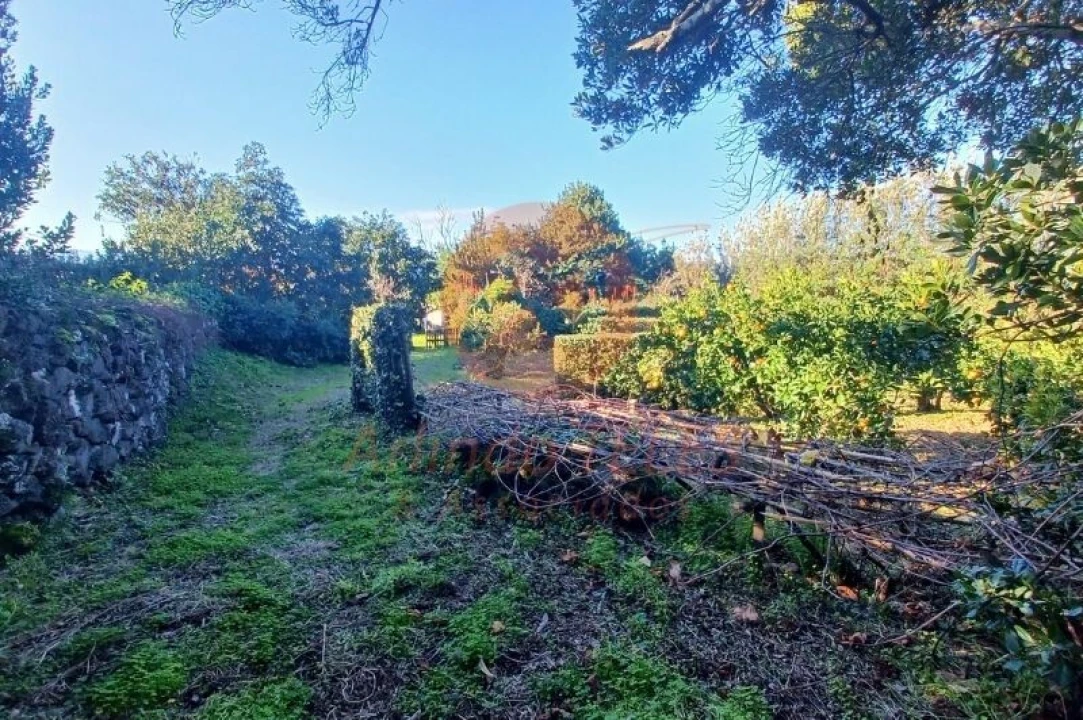 Moradia T3 para Venda em Santo Amaro Foto 5