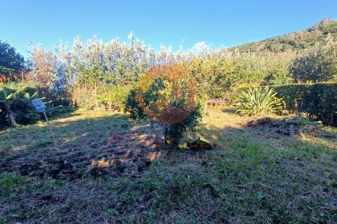 Moradia T3 para Venda em Santo Amaro Foto 33