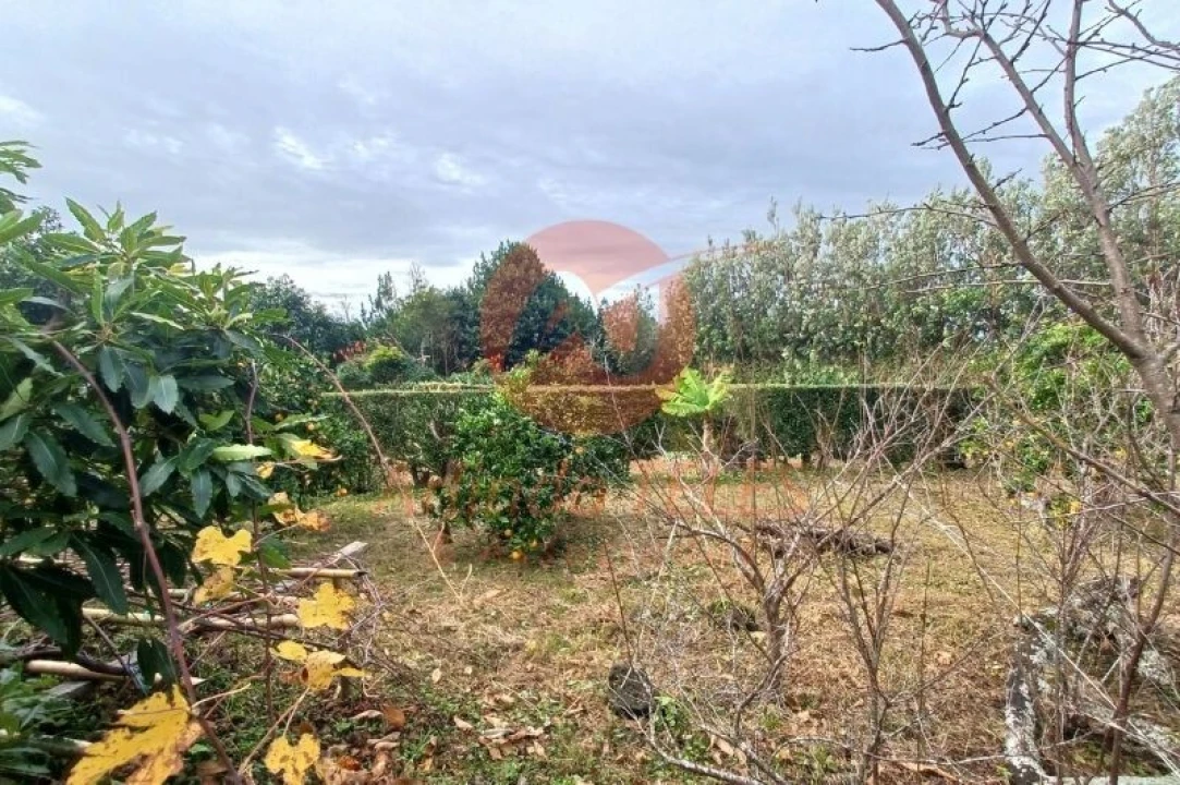 Moradia T3 para Venda em Santo Amaro Foto 6