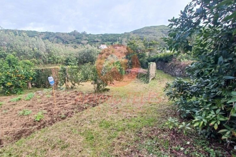 Moradia T3 para Venda em Santo Amaro Foto 37