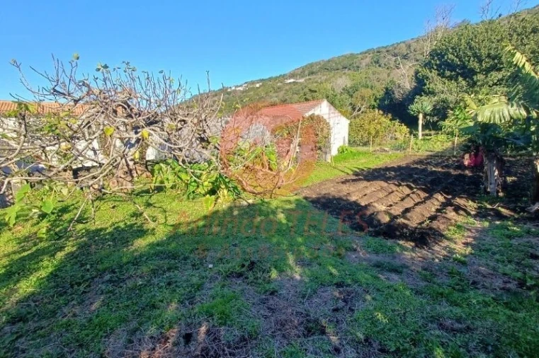 Moradia T3 para Venda em Santo Amaro Foto 32