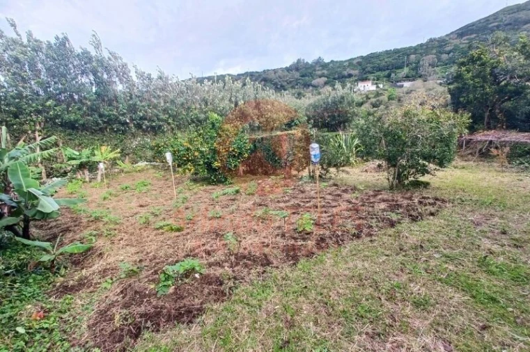 Moradia T3 para Venda em Santo Amaro Foto 39