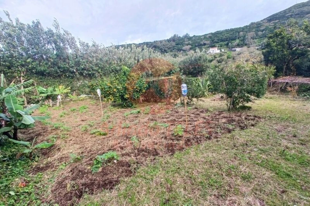 Moradia T3 para Venda em Santo Amaro Foto 39