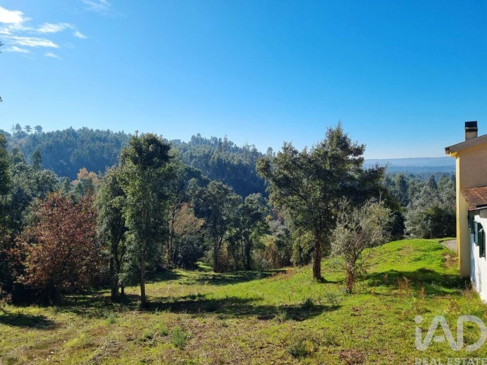 Terreno para Venda em Poiares (Santo Andre) Foto 22