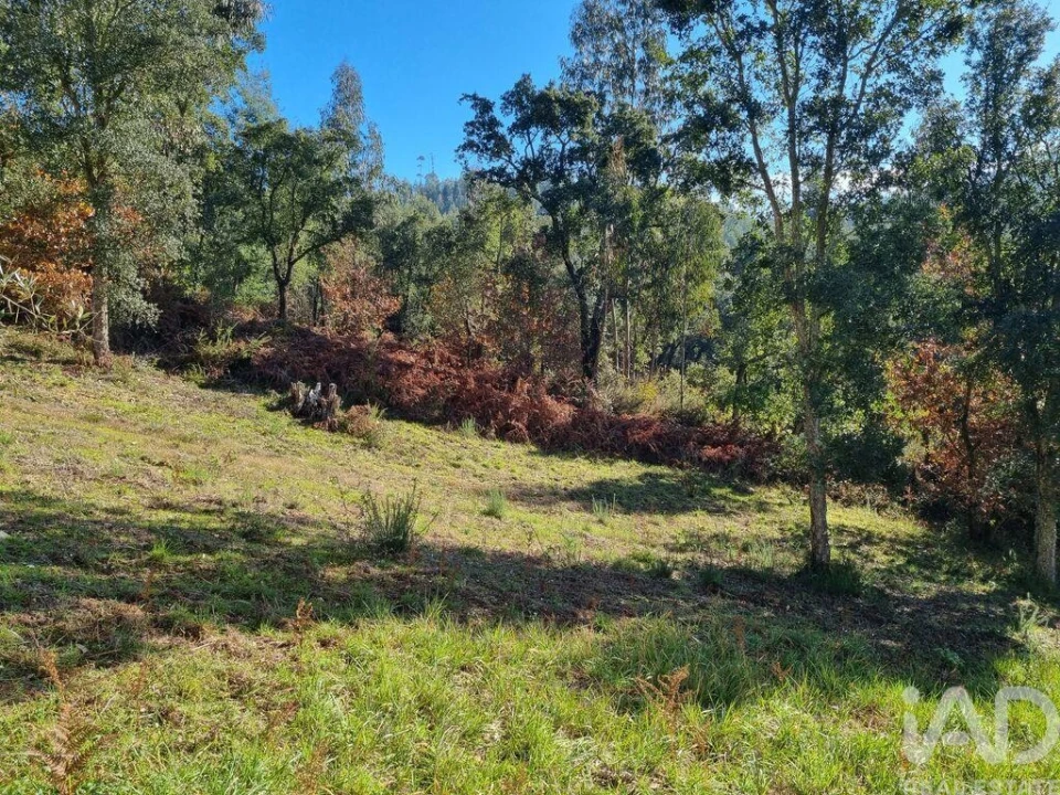 Terreno para Venda em Poiares (Santo Andre) Foto 10