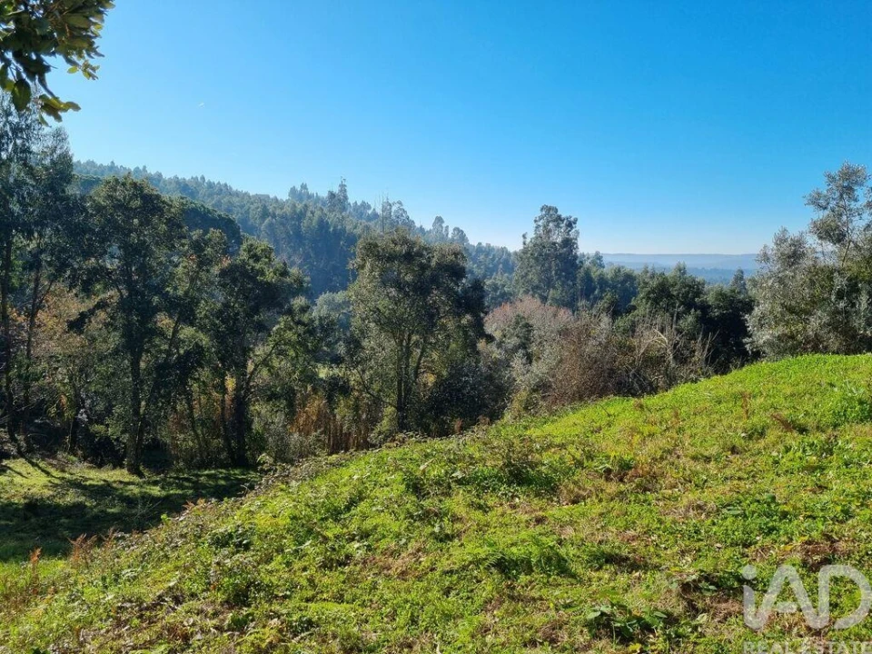 Terreno para Venda em Poiares (Santo Andre) Foto 5
