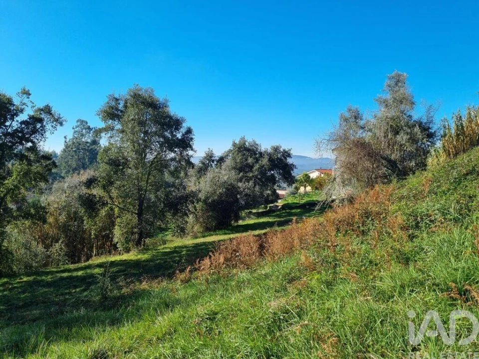Terreno para Venda em Poiares (Santo Andre) Foto 15