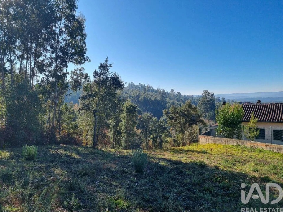 Terreno para Venda em Poiares (Santo Andre) Foto 24