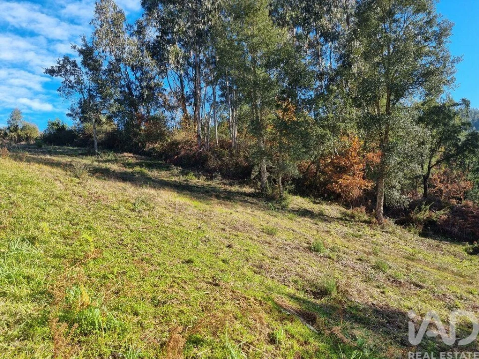 Terreno para Venda em Poiares (Santo Andre) Foto 20