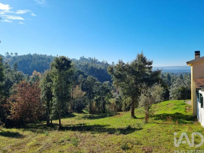 Terreno para Venda em Poiares (Santo Andre) Foto 22