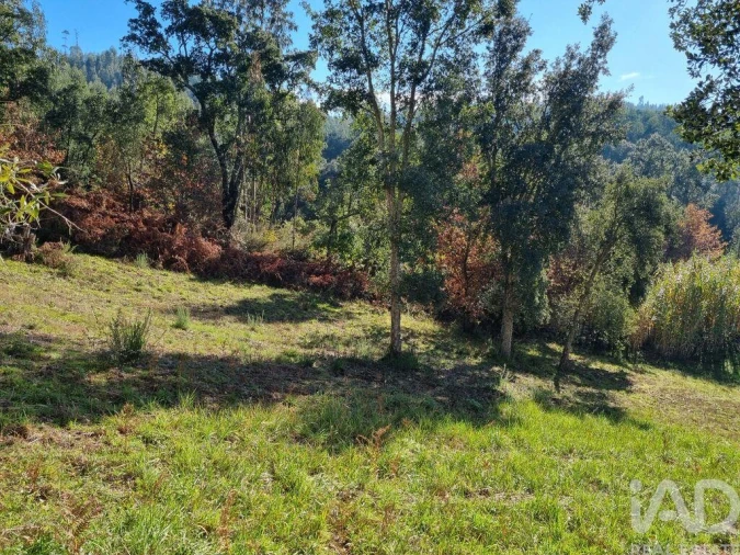 Terreno para Venda em Poiares (Santo Andre) Foto 12