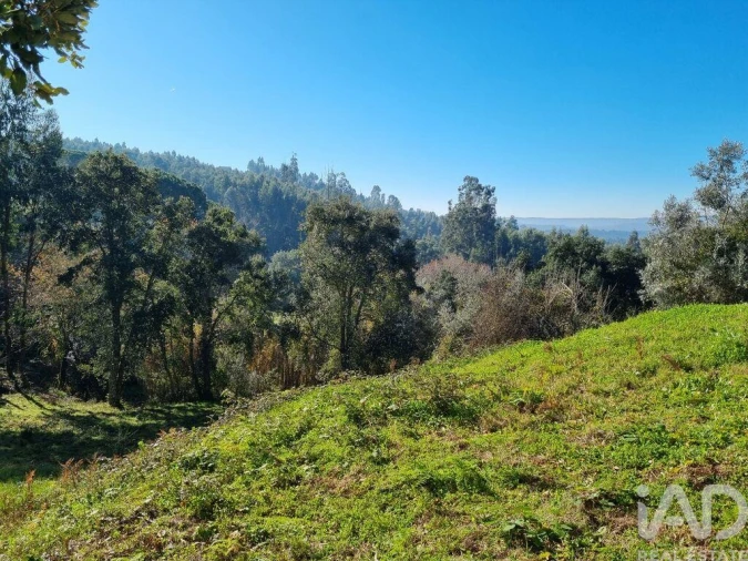 Terreno para Venda em Poiares (Santo Andre) Foto 5