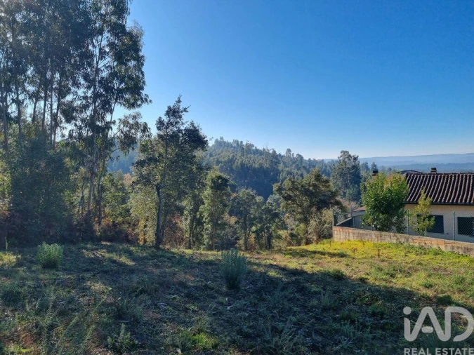 Terreno para Venda em Poiares (Santo Andre) Foto 24