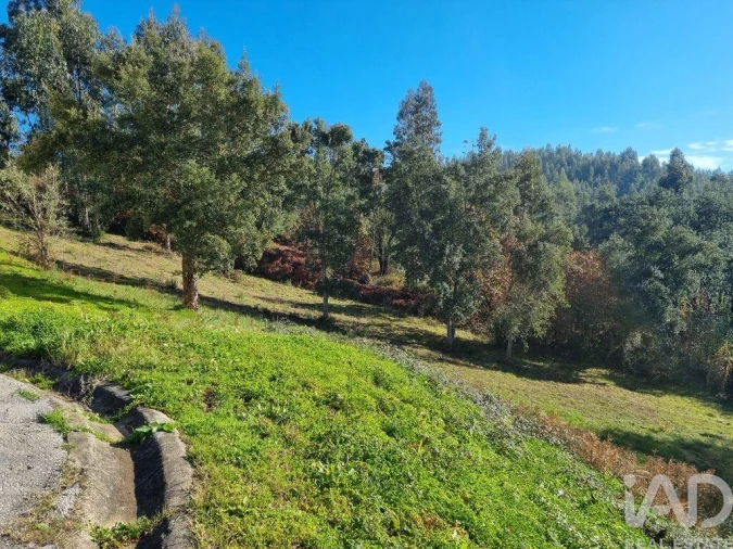 Terreno para Venda em Poiares (Santo Andre) Foto 7