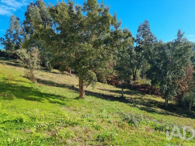 Terreno para Venda em Poiares (Santo Andre) Foto 8