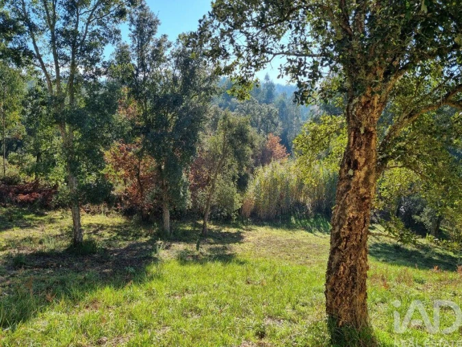 Terreno para Venda em Poiares (Santo Andre) Foto 9